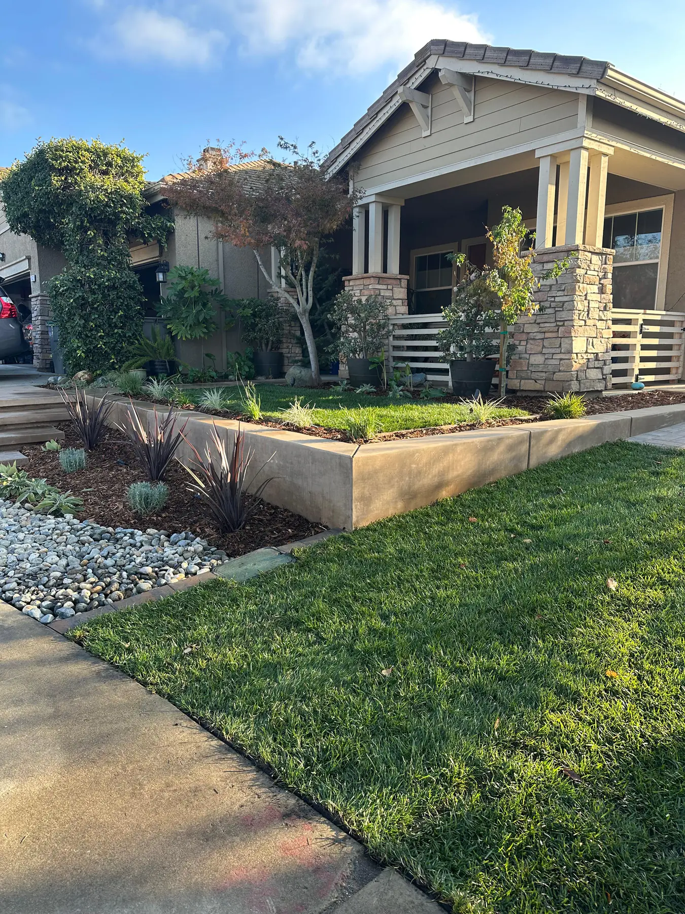 Vermex team working on a lush residential garden in Sacramento, bright daylight, green lawn, professional crew