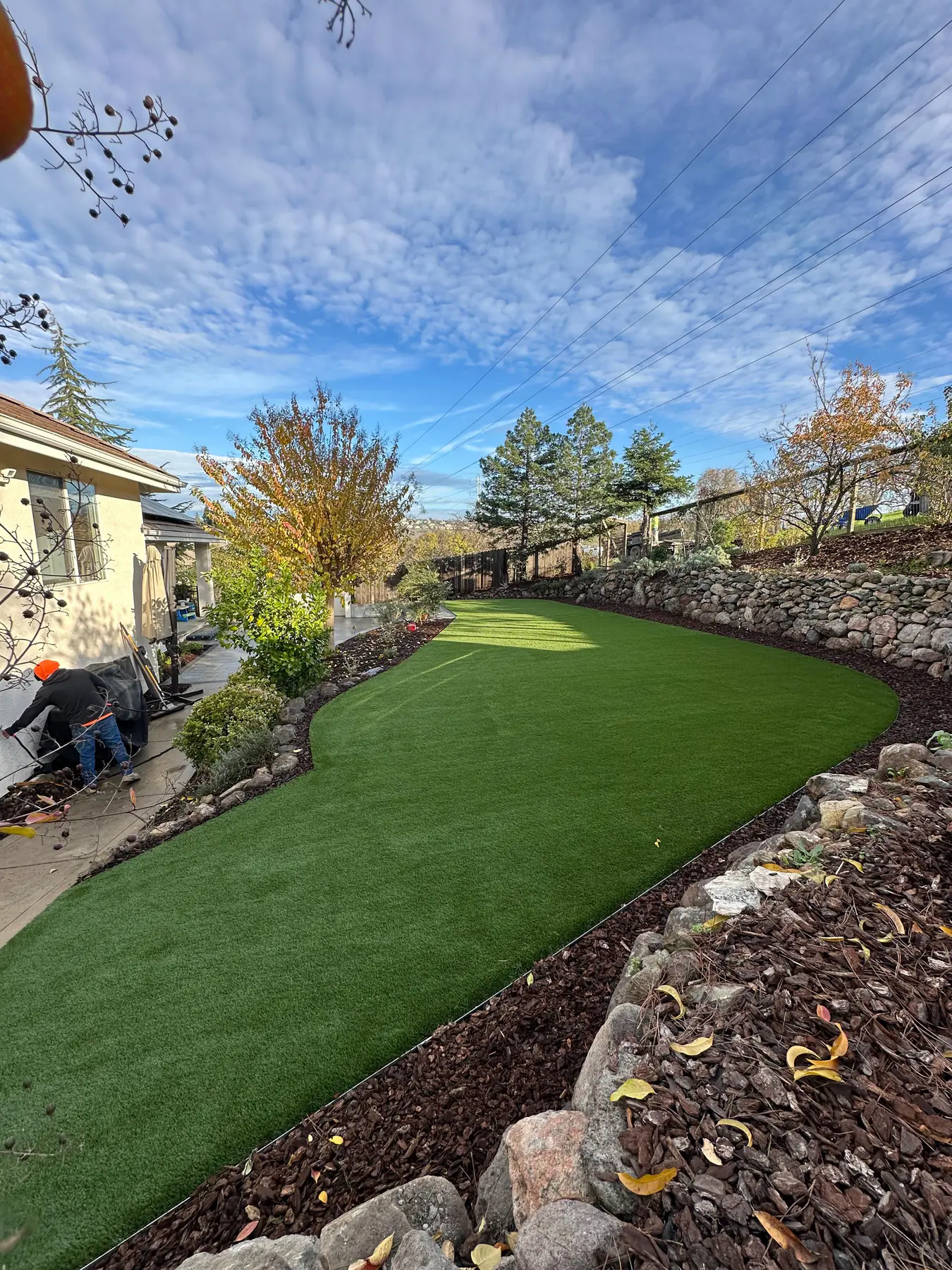 Curved artificial turf lawn with planted border and clean hardscape