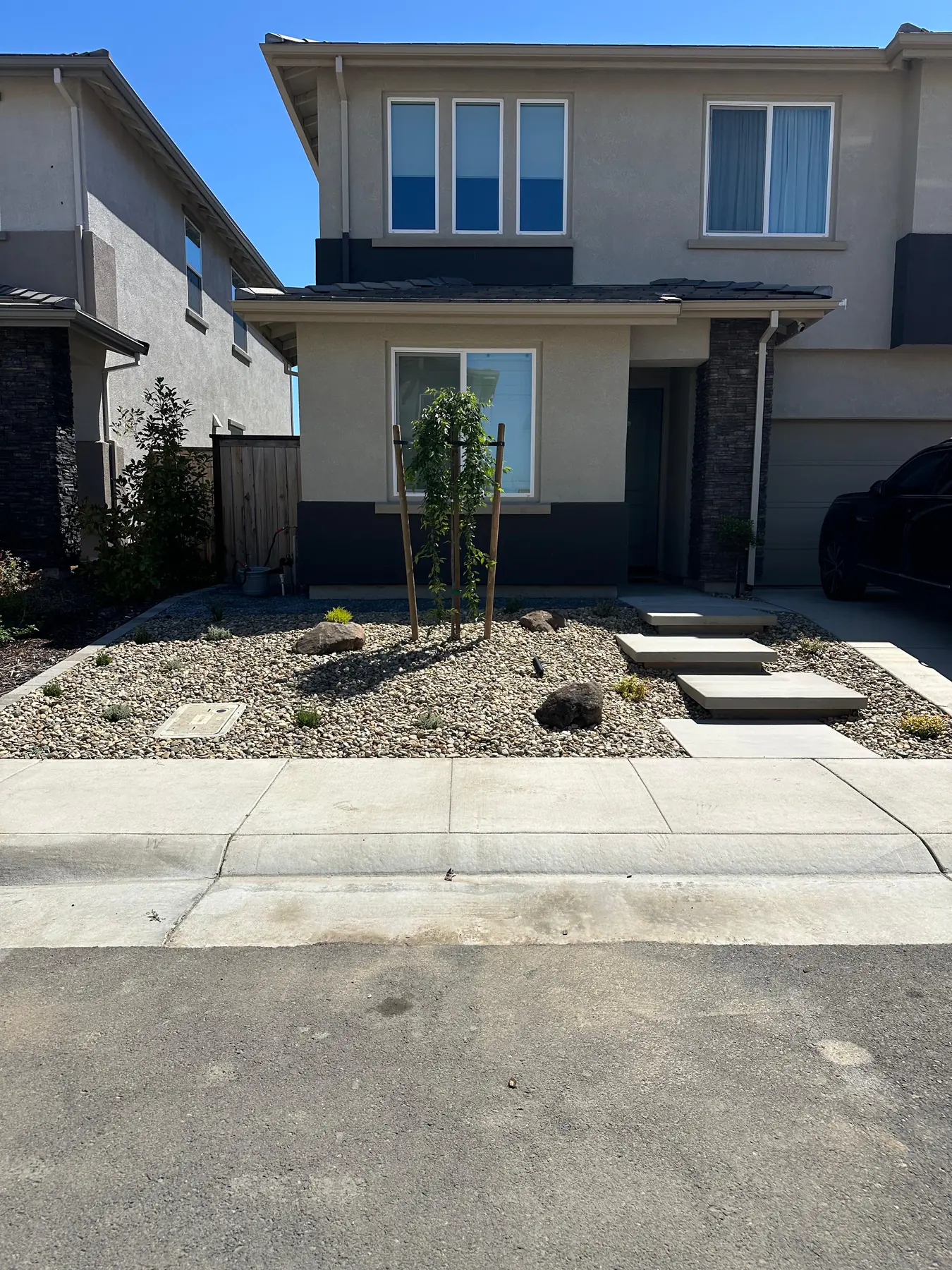 Desert landscape garden with succulents, decorative rocks, and drought-tolerant plants under bright California sun